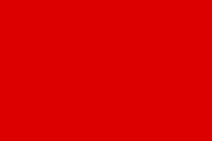 1280px-Socialist red flag.svg.png