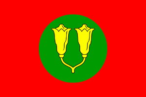 Sultinate of Zanzibar flag.png