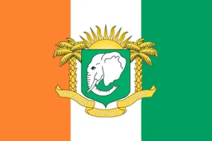 Flag of the ivory coast.webp