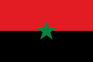 TNO Flag Burkina Faso (Pan-African).png