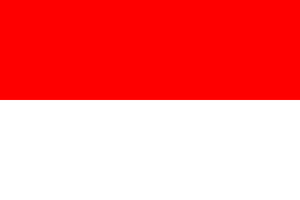 印度尼西亞共和國的國旗.png