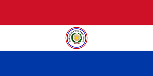 巴拉圭的國旗.png